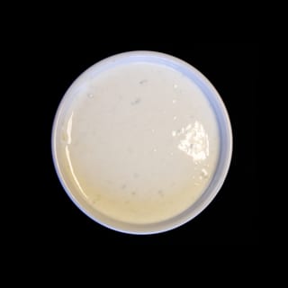 Tzatziki sauce